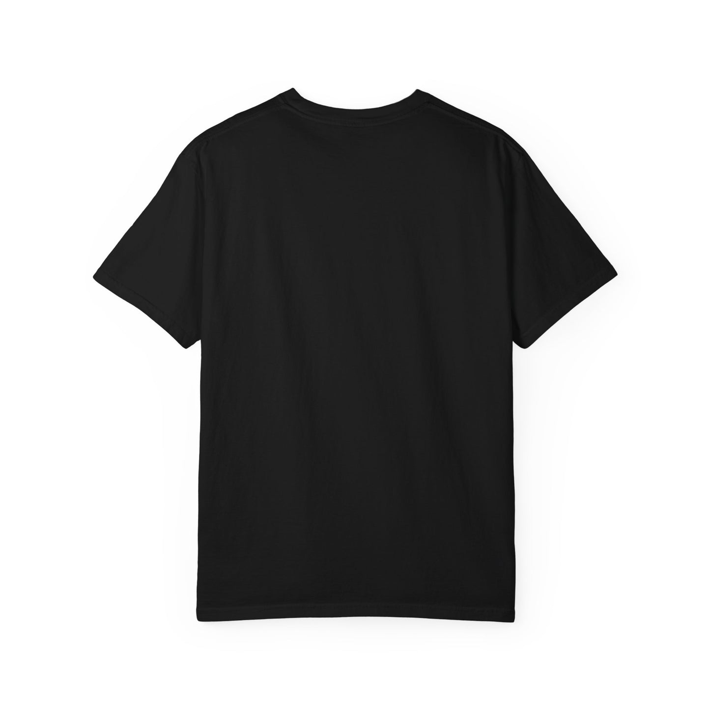 T-Shirt — "Before You Gossip About Me" Southern Sayings Fish-To-Fry Graphic Tee